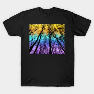 Fall Forest Sunset T-Shirt